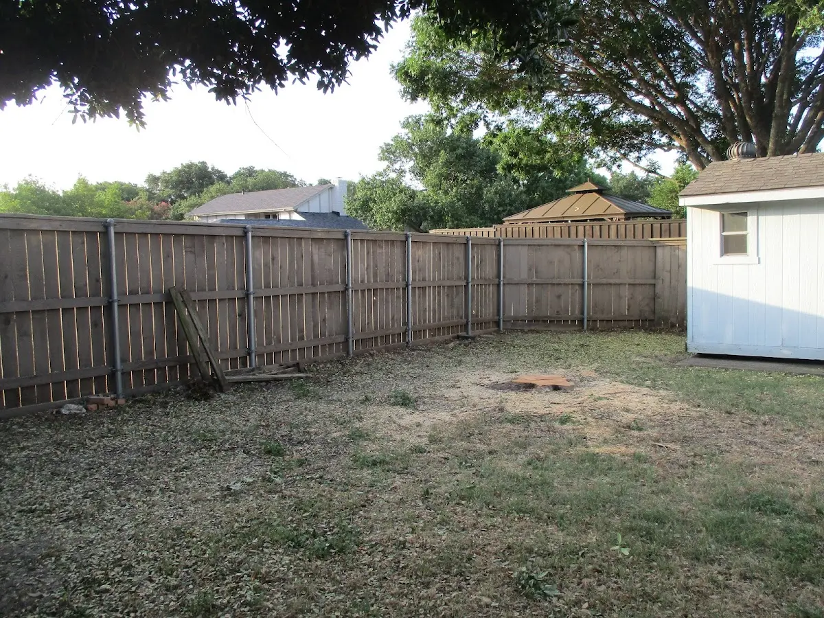 Cleared yard after professional tree removal in Pleasant City